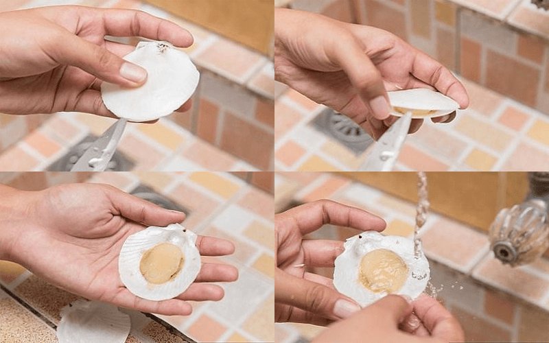 bước làm sạch sò điệp