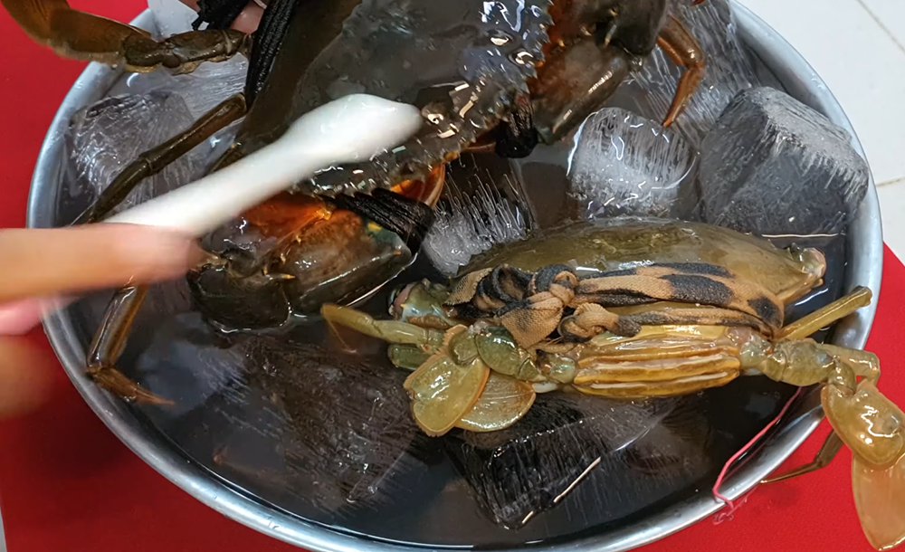 bước sơ chế làm sạch cua